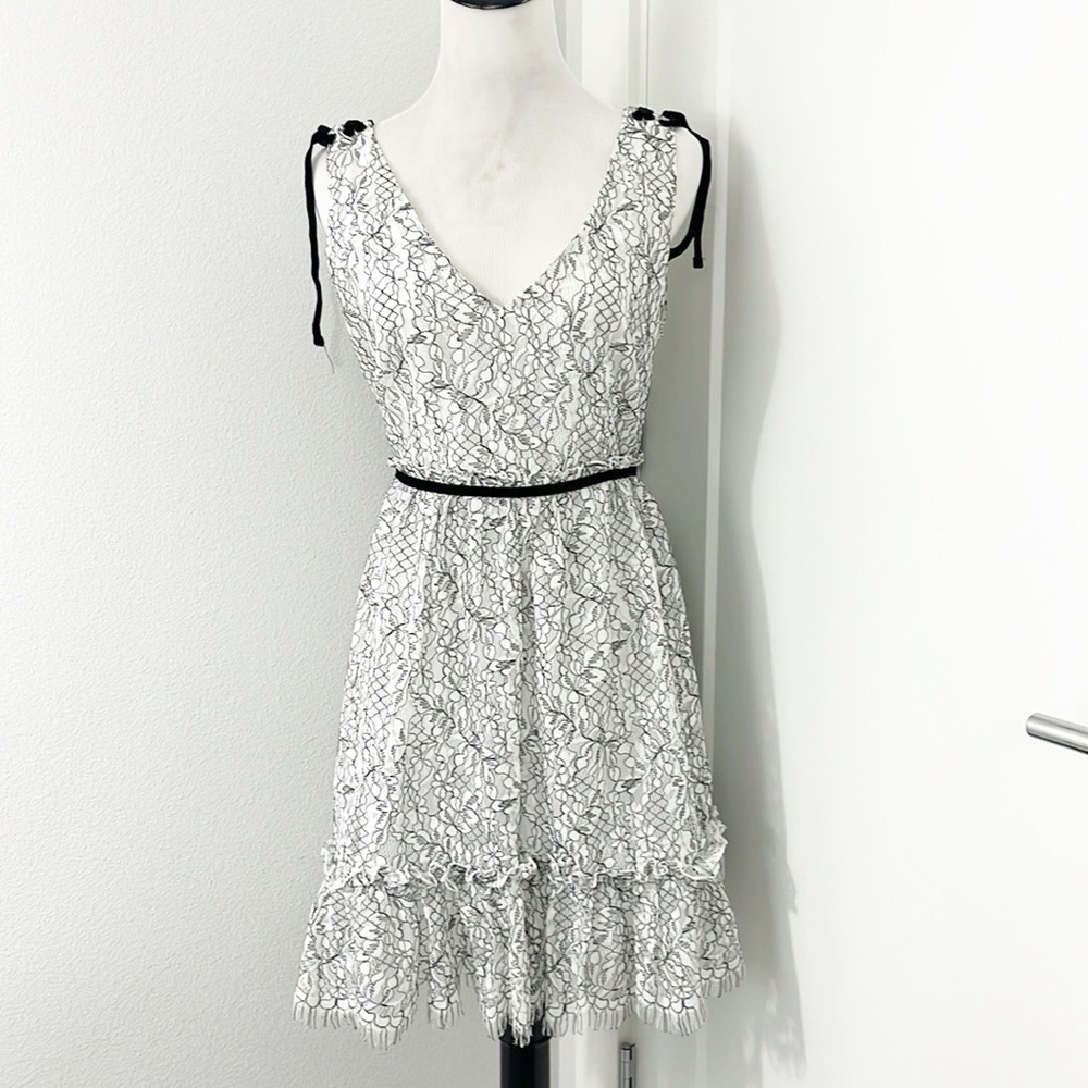 New Cupcakes and Cashmere Size 6 White, Black Lace Ruffle Fit & Flare Dress